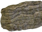 Metamorphic Rock