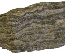 Metamorphic Rock