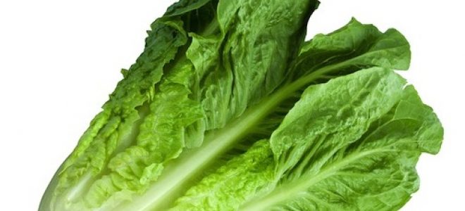 Romaine Lettuce