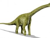 Brachiosaurus