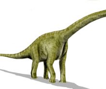 Brachiosaurus