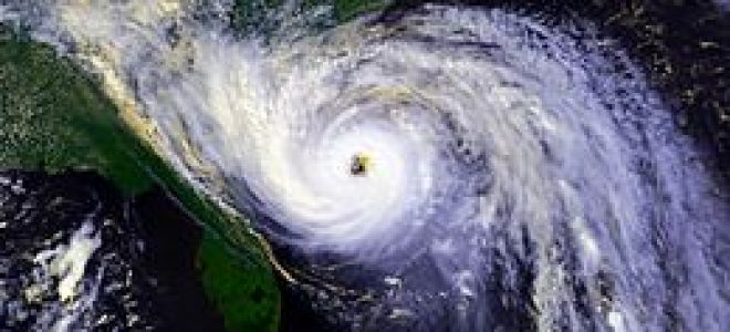 Hurricane Hugo